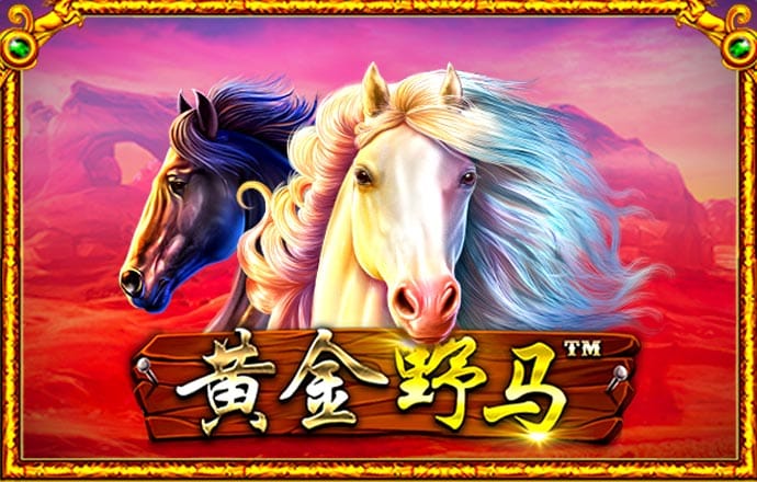 澳门平特一肖62445cow